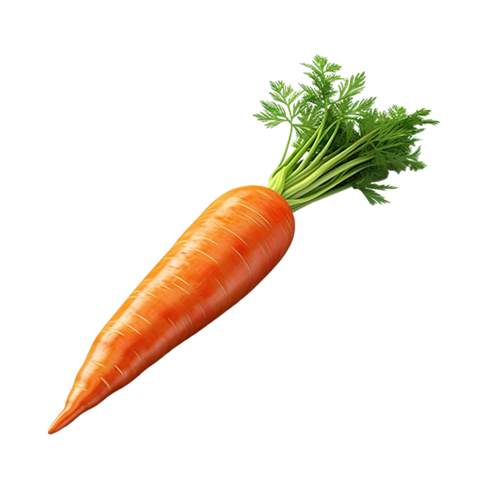 carrot