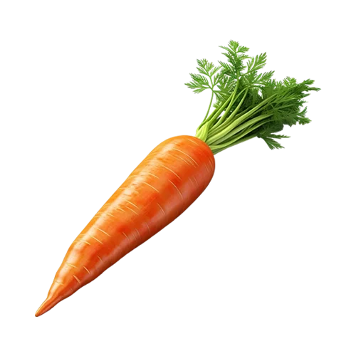 carrot
